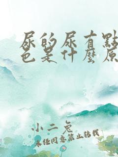 尿的尿有点偏红色是什么原因