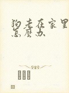 狗老在家里撒尿怎么办