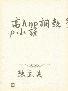 高hnp调教多p小说