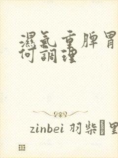 湿气重脾胃虚如何调理