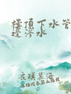 楼顶下水管道周边渗水