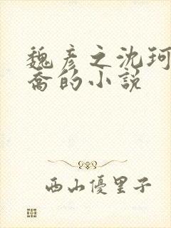 魏彦之沈珂霍云乔的小说