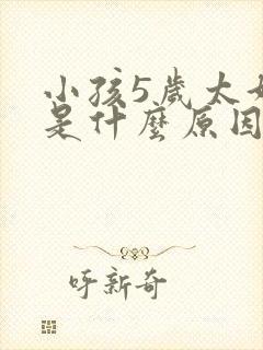 小孩5岁太好动是什么原因