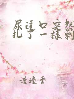 尿道口突然像针扎了一样刺痛男性