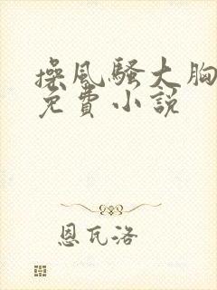 操风骚大胸少妇免费小说