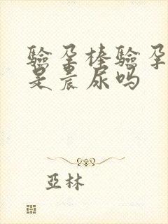 验孕棒验孕必须是晨尿吗