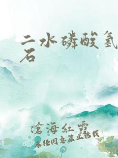 二水磷酸氢钙结石