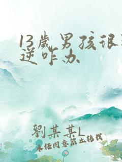 13岁男孩很叛逆咋办