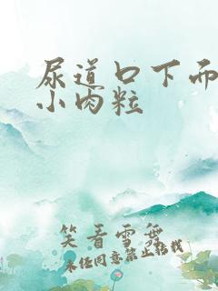 尿道口下面长了小肉粒