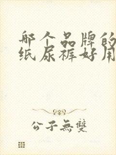 哪个品牌的老人纸尿裤好用