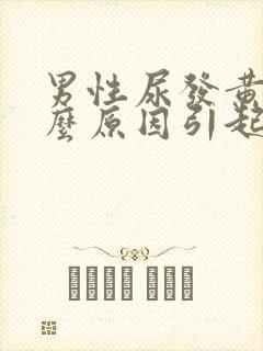 男性尿发黄是什么原因引起的