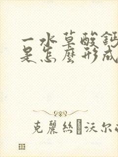 一水草酸钙结石是怎么形成的