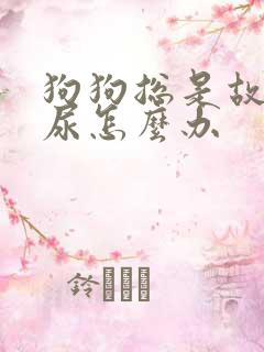 狗狗总是故意乱尿怎么办