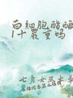 白细胞酯酶阳性1十严重吗