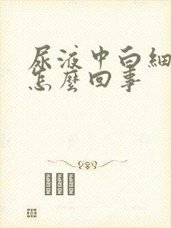 尿液中白细胞高怎么回事