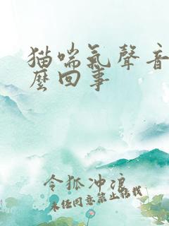 猫喘气声音大怎么回事