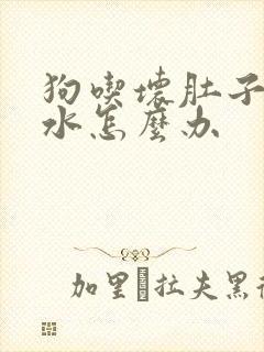 狗吃坏肚子吐黄水怎么办