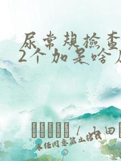 尿常规检查潜血2个加是啥原因引起的