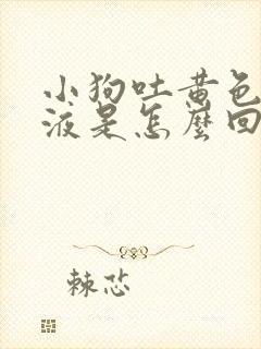 小狗吐黄色的粘液是怎么回事