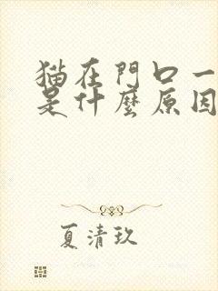 猫在门口一直叫是什么原因