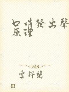 口哨发出声音的原理