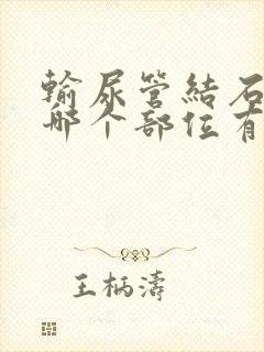 输尿管结石按摩哪个部位有助排石