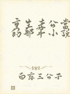 重生老公当校草的那年小说