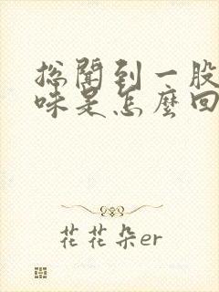 总闻到一股尿骚味是怎么回事