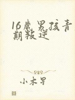 16岁男孩青春期叛逆