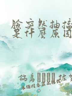 脸突然抽搐跳动是什么原因