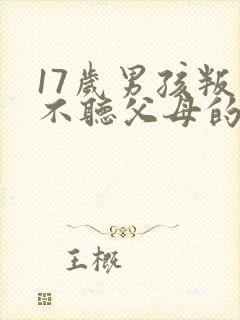 17岁男孩叛逆不听父母的话怎么办