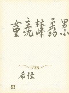 女主林柔男主顾里沈峰的小说