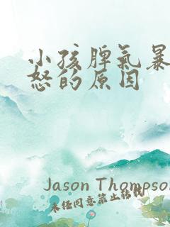 小孩脾气暴躁易怒的原因