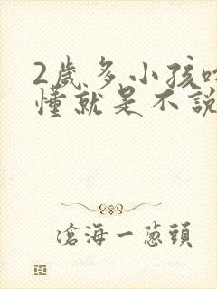 2岁多小孩啥都懂就是不说话