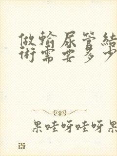 做输尿管结石手术需要多少钱