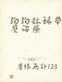 狗狗拉稀带血怎么治疗