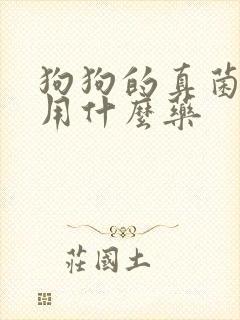 狗狗的真菌感染用什么药