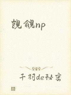 觊觎np