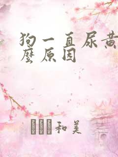 狗一直尿黄尿什么原因