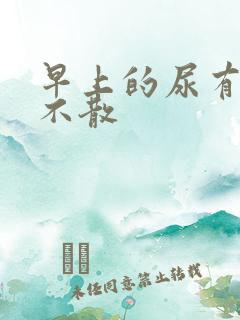 早上的尿有泡沫不散