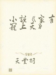 小说《家有萌妻宠上天》