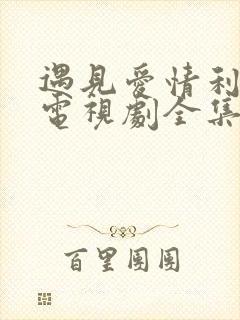 遇见爱情利先生电视剧全集