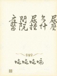 夜间尿多尿频去医院挂什么科