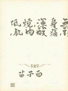 低烧,浑身无力,肌肉酸痛,头疼,该吃什么药