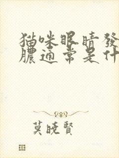 猫咪眼睛发炎流脓通常是什么引起的