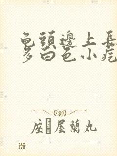 龟头边上长了好多白色小疙瘩