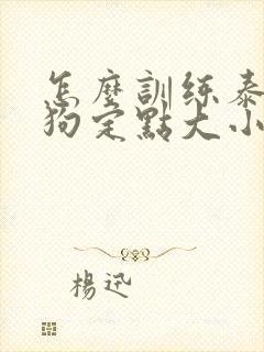 怎么训练泰迪狗狗定点大小便