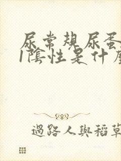 尿常规尿蛋白+1阴性是什么意思