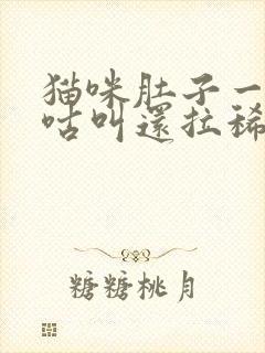 猫咪肚子一直咕咕叫还拉稀