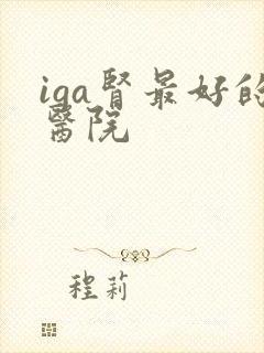 iga肾最好的医院